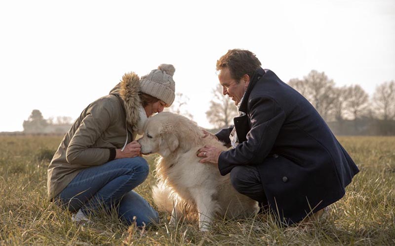 Clisson, un reportage photo hivernal d’un couple et son chien.