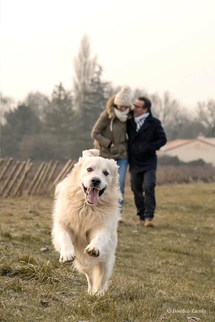 photographe clisson couple et chien